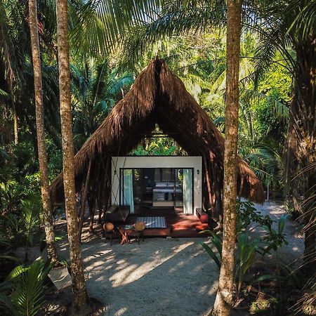 The Resort At Isla Palenque Member Of The Cayuga Collection بوكاتشيكا المظهر الخارجي الصورة