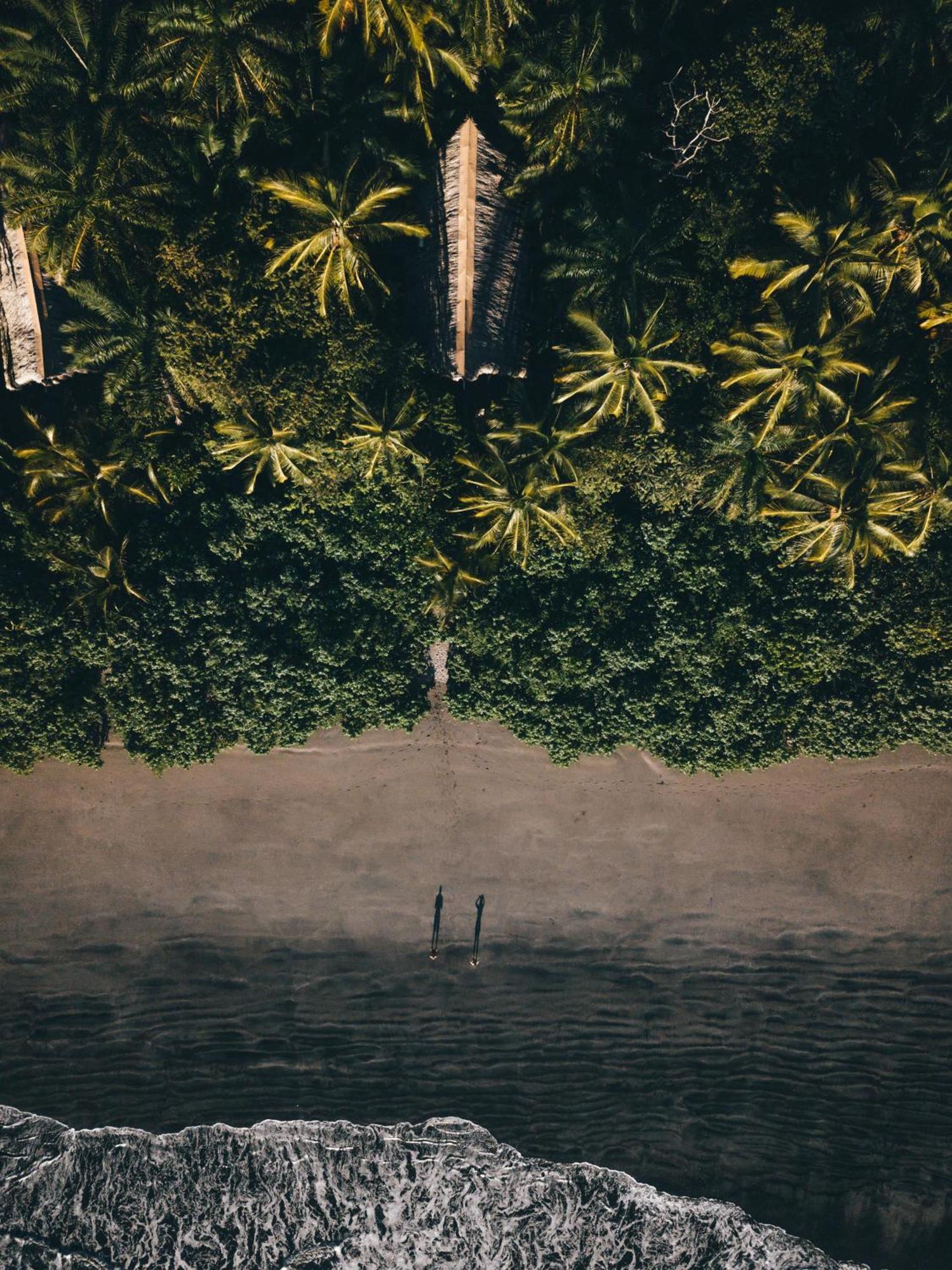 The Resort At Isla Palenque Member Of The Cayuga Collection بوكاتشيكا المظهر الخارجي الصورة