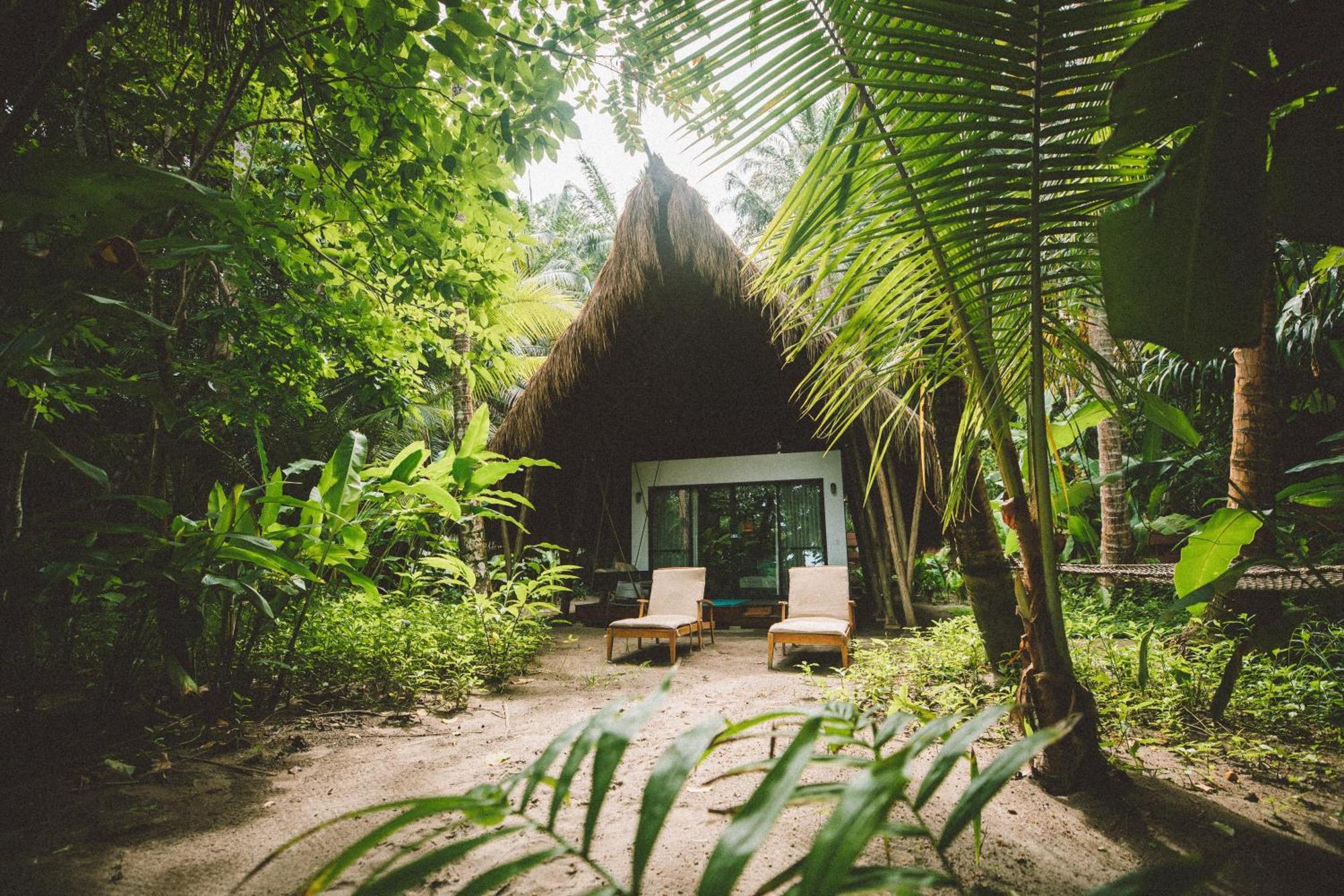 The Resort At Isla Palenque Member Of The Cayuga Collection بوكاتشيكا المظهر الخارجي الصورة