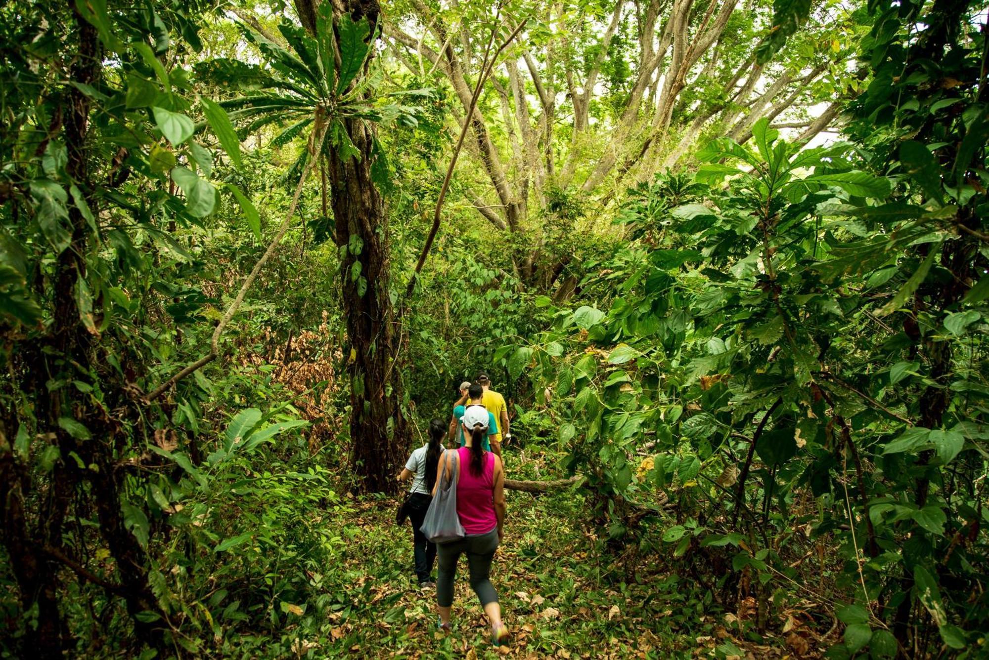 The Resort At Isla Palenque Member Of The Cayuga Collection بوكاتشيكا المظهر الخارجي الصورة