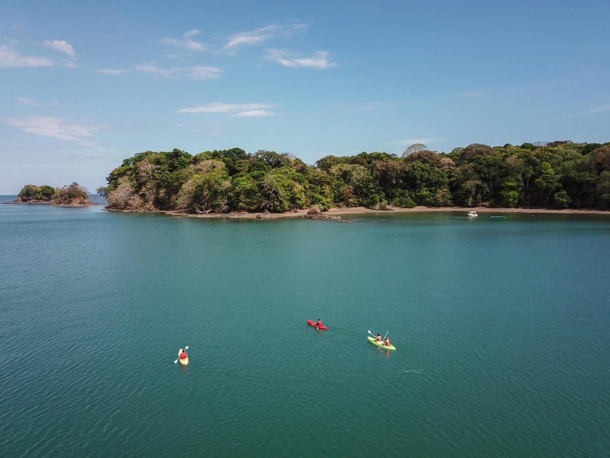 The Resort At Isla Palenque Member Of The Cayuga Collection بوكاتشيكا المظهر الخارجي الصورة