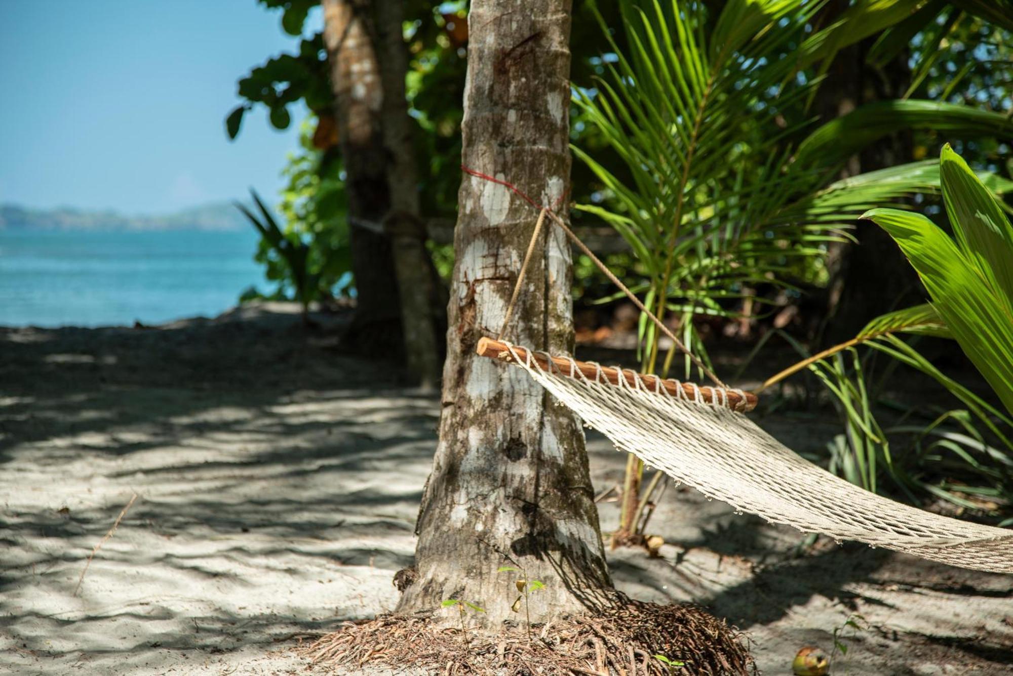 The Resort At Isla Palenque Member Of The Cayuga Collection بوكاتشيكا المظهر الخارجي الصورة